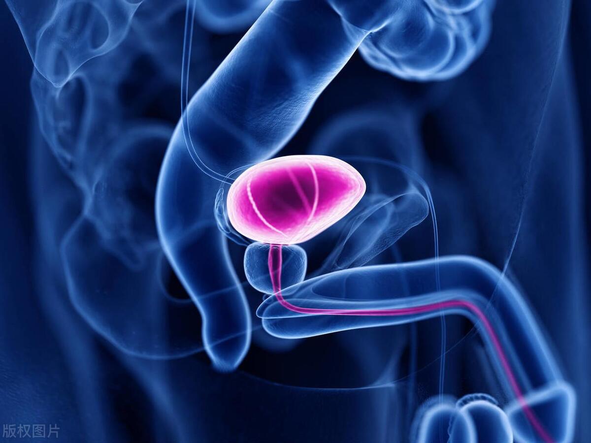 吃完饭就想上厕所会得什么病,吃完饭就想上厕所是直肠炎吗