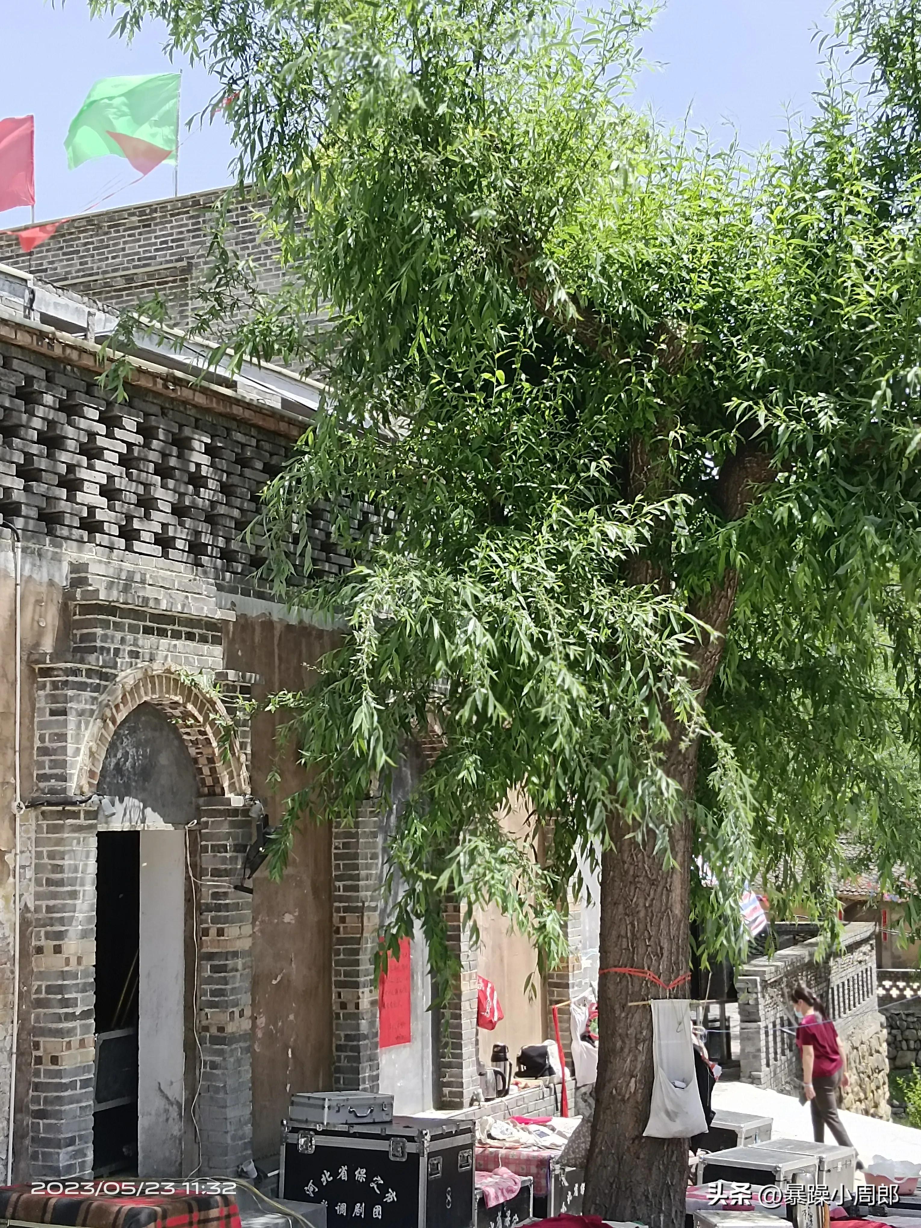 德川家康大奥,德川家康怎么崛起的