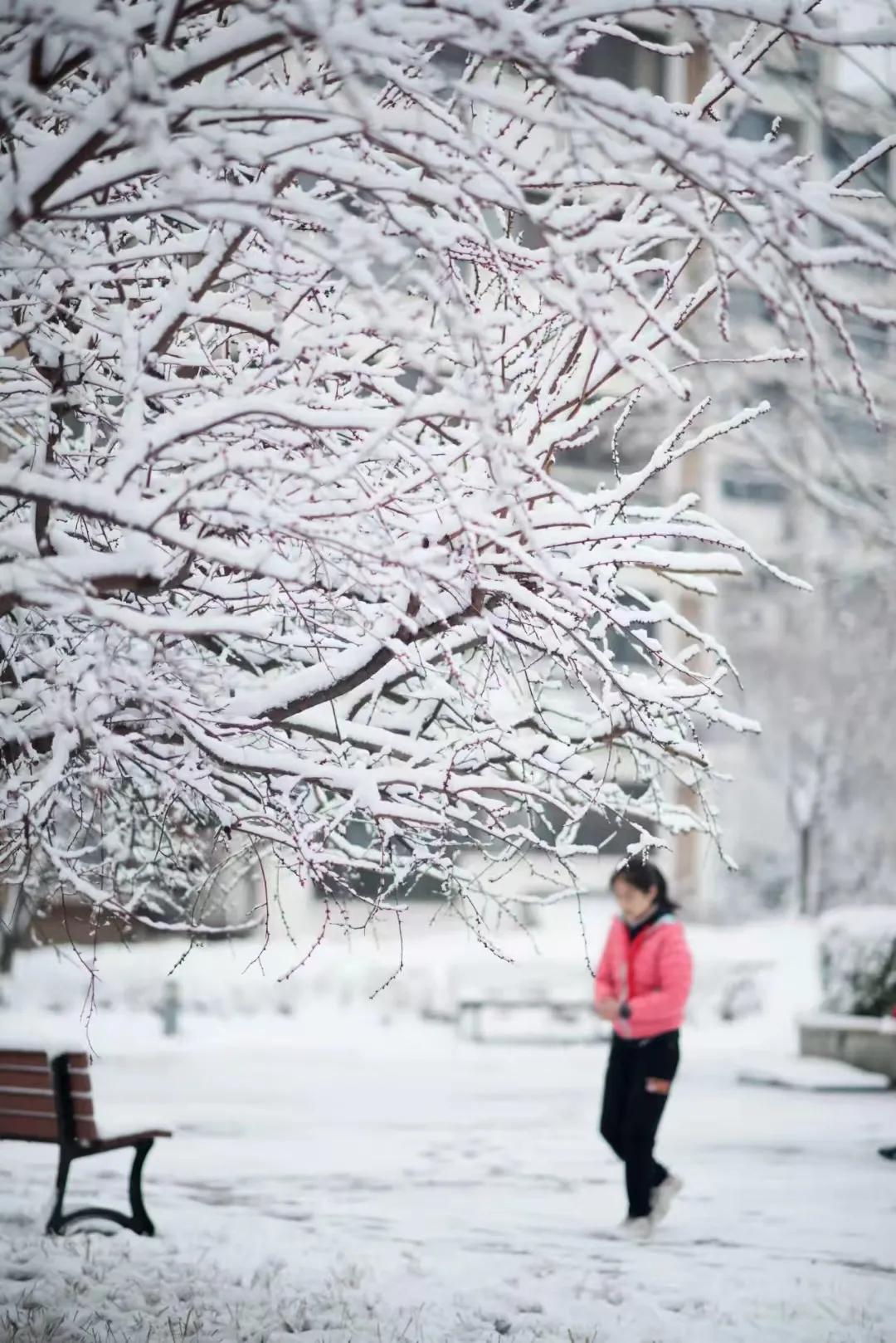 去北京坐高铁旅游攻略,坐高铁去北京攻略路线图