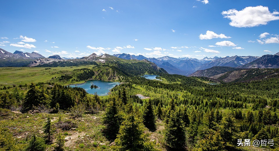 易经爻位关系——易经初爻位与上爻位关系，深度