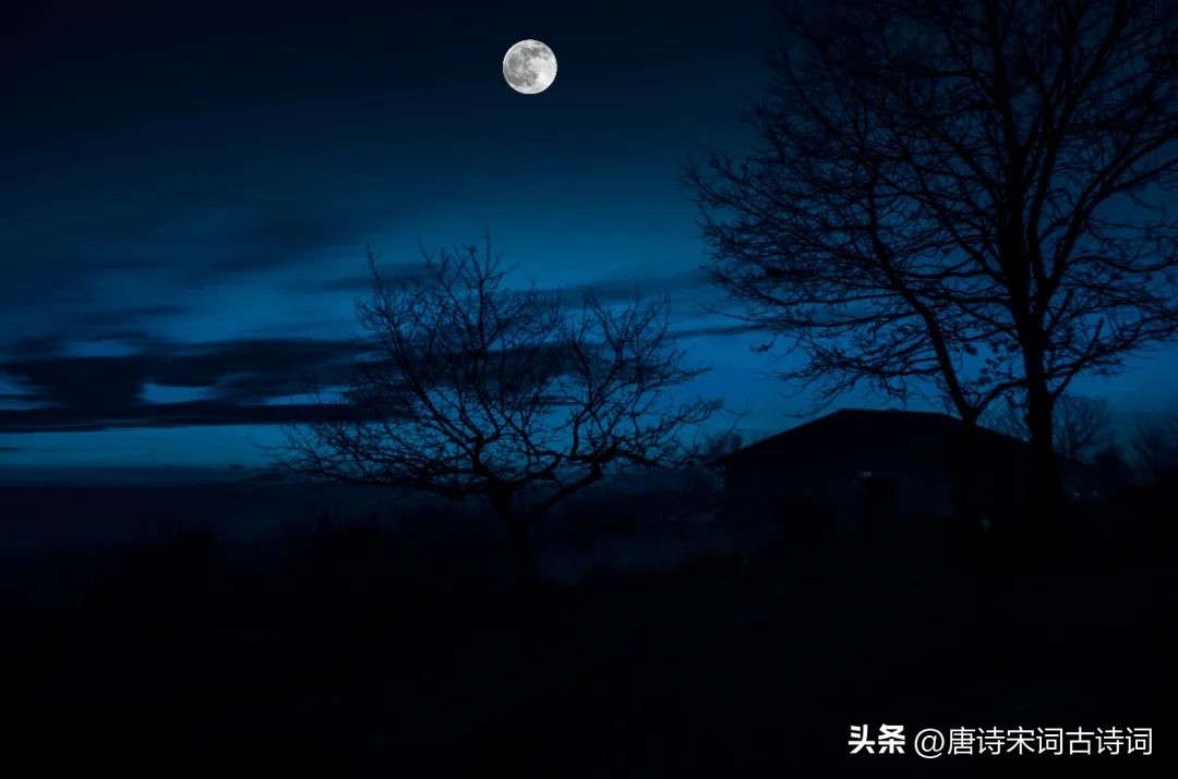 秋夜，月光凉凉，思念深深
