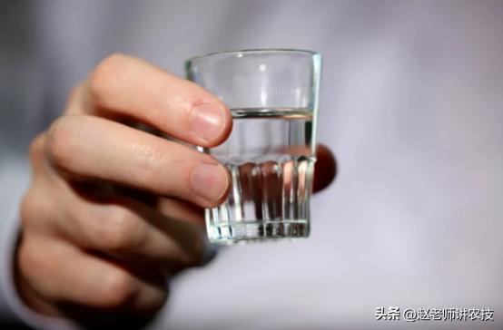 50岁了开始戒酒好吗,上了岁数怎样戒酒快速有效方法