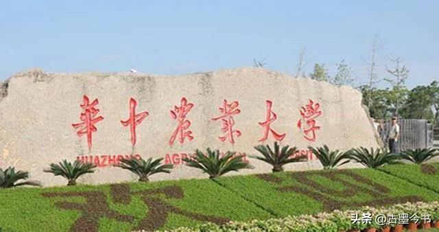 养恩大于生恩？女博士被收养24年，亲生父母带50万上门认亲被拒