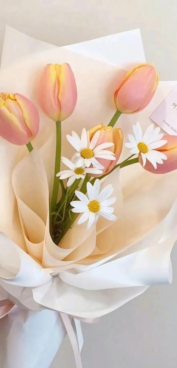 上班励志高清壁纸4k全屏电脑壁纸,黑鲨壁纸动态壁纸高清全屏90帧