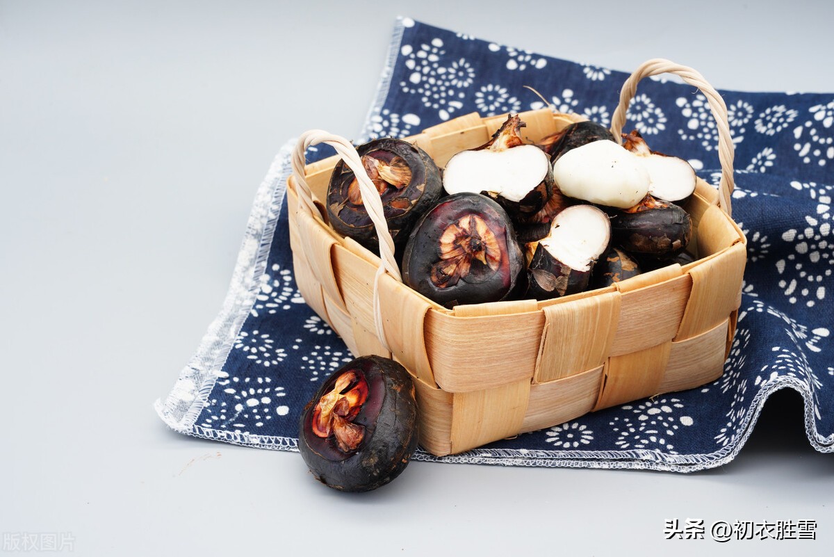 荸荠诗句,荸荠古诗