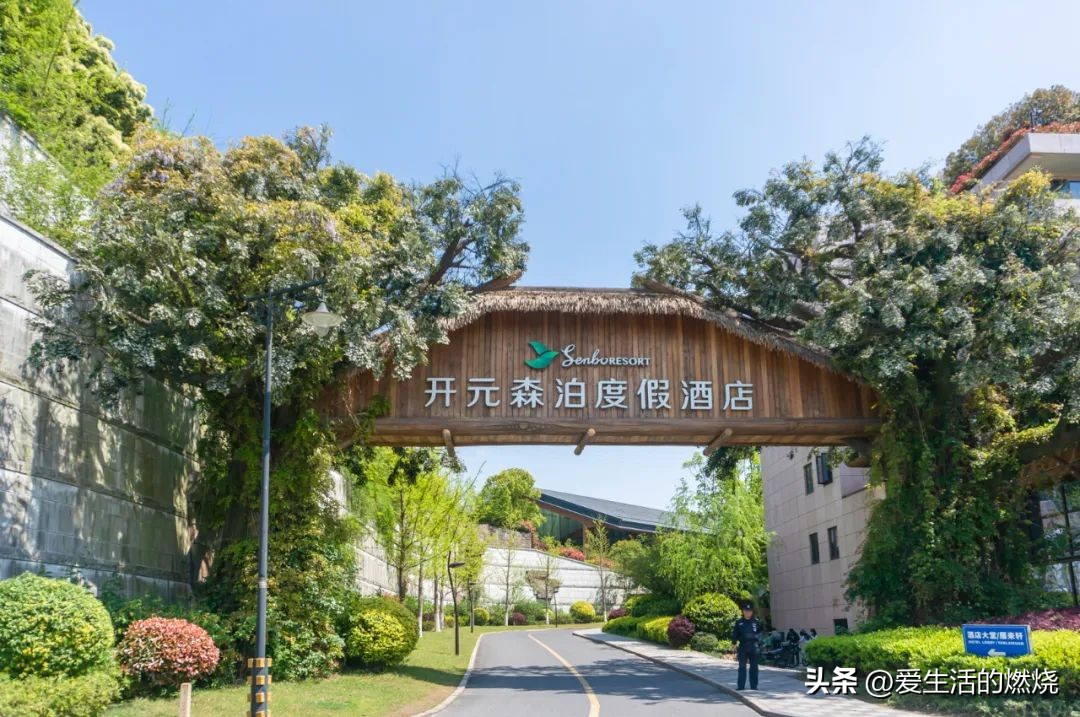 杭州森泊开元度假酒店不含门票,杭州开元森泊度假酒店存在的问题