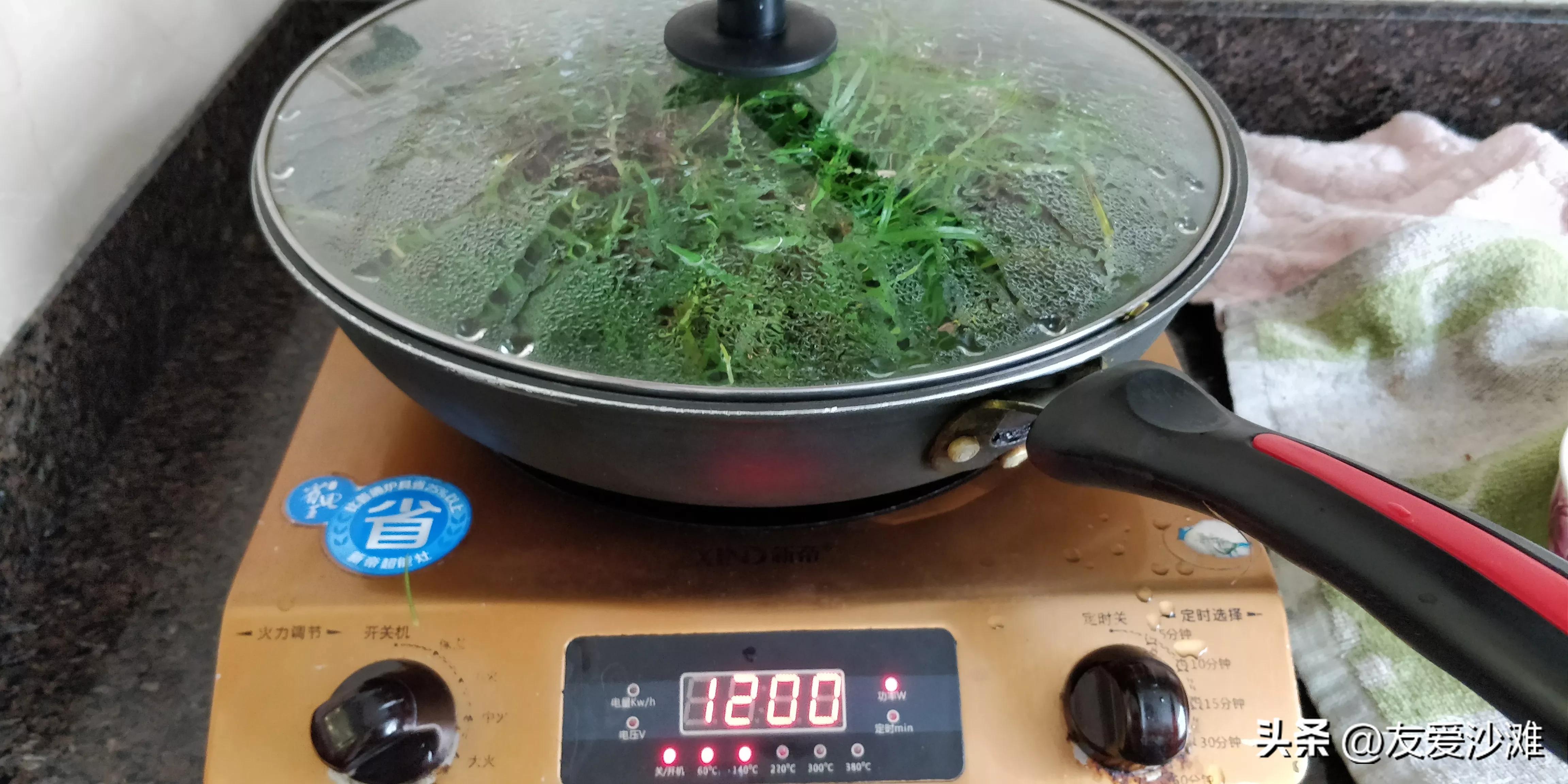 【原创】一帖神奇的草药治愈了我的阑尾炎