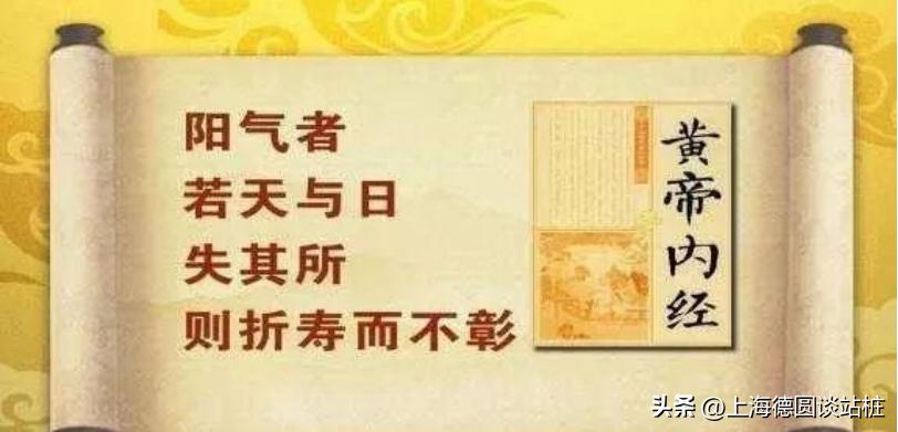 阳气与站桩锻炼|德圆谈站桩系列四十六