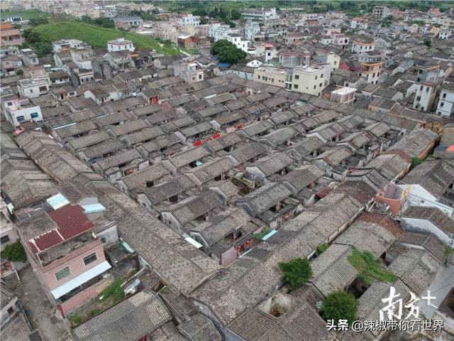 惠州市海岸线,惠州的海岸线
