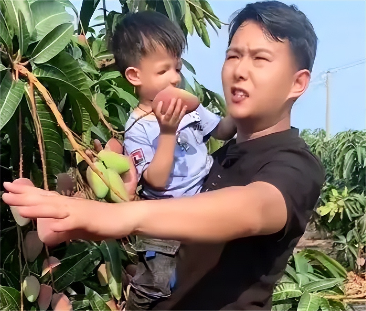 鸟脸妈妈坚持二胎,鸟脸妈妈不顾反对生二胎