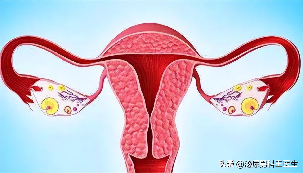 进入女性体内，没有成功“受精”的精子，都怎样了？