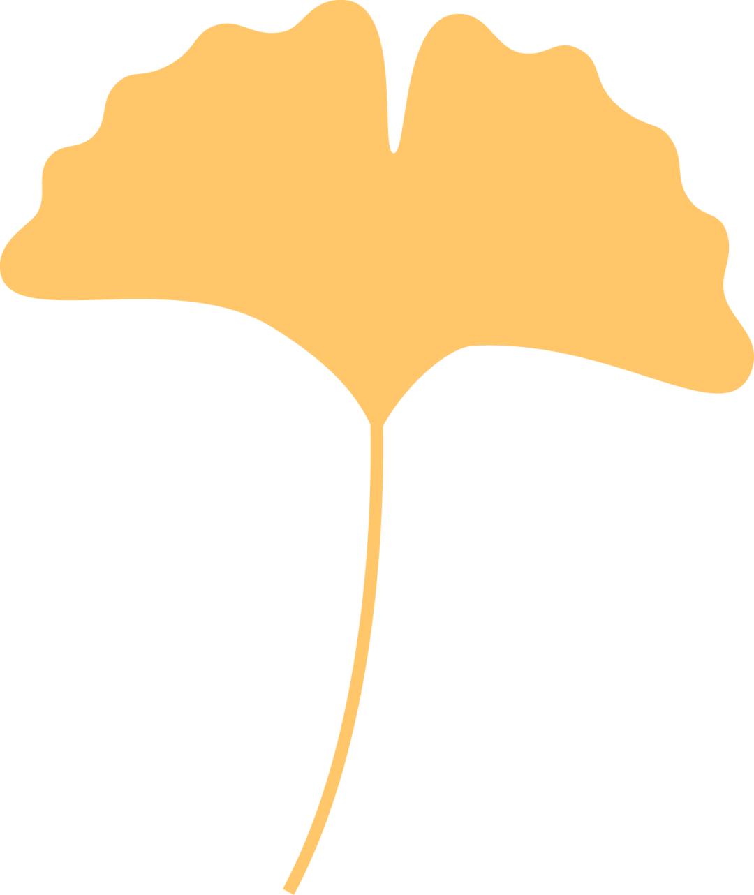 这次疫情带孩子去国外留学,因为疫情导致儿子没能回澳洲留学