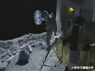 每日一笑游泳教学视频,每日一笑钓鱼片段