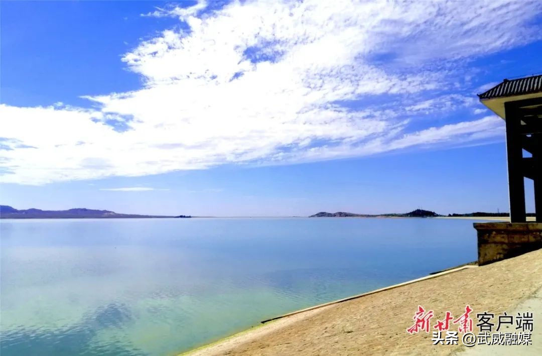 重要通告速看视频,重要通知速看全文