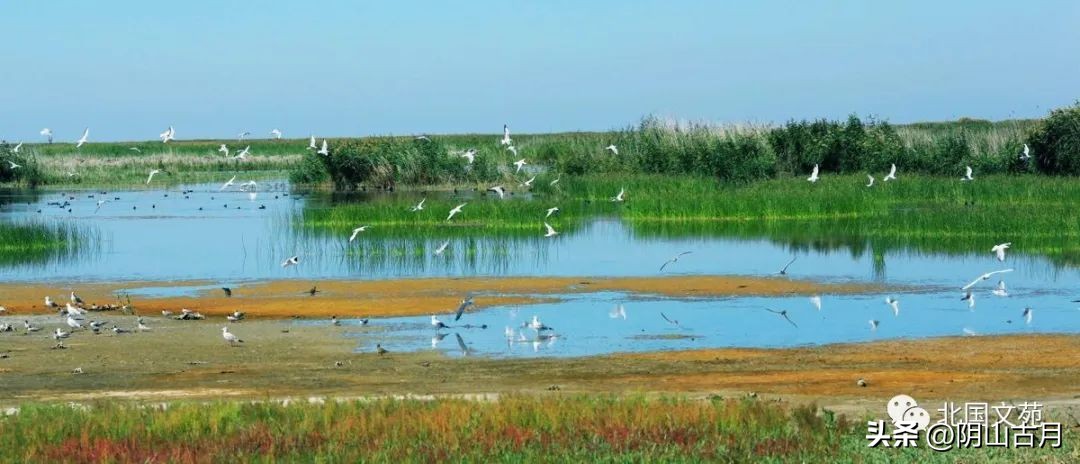 固阳名胜古迹,固阳县简介