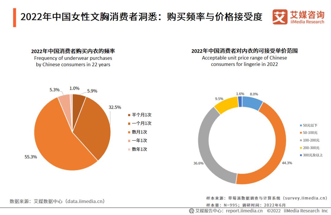 2023内衣行业分析报告,内衣消费者洞察