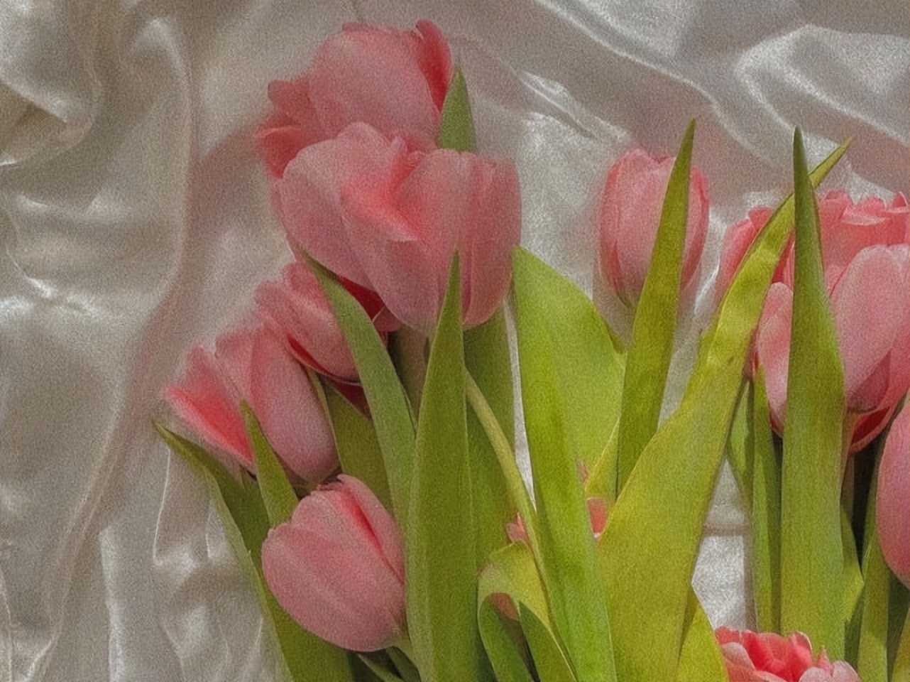 处女座能控制什么,处女座能驾驭巨蟹么