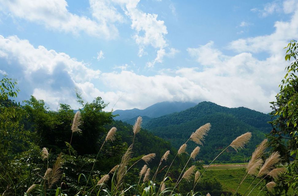 云浮大云雾山自驾游,广东云浮出发4-5天旅游推荐