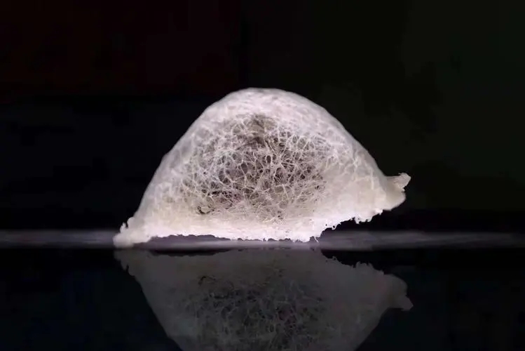 燕窝加工技术培训,燕窝入门自学教程