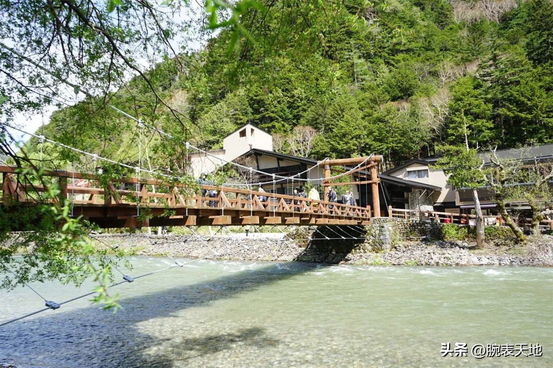 冠蓝狮在日本和国内售价对比,冠蓝狮新品2023