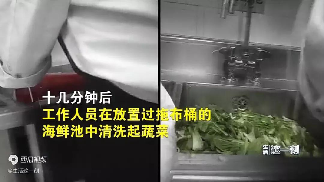 网红餐厅蓝蛙后厨乱象被曝光,记者卧底蓝蛙曝光后厨乱象