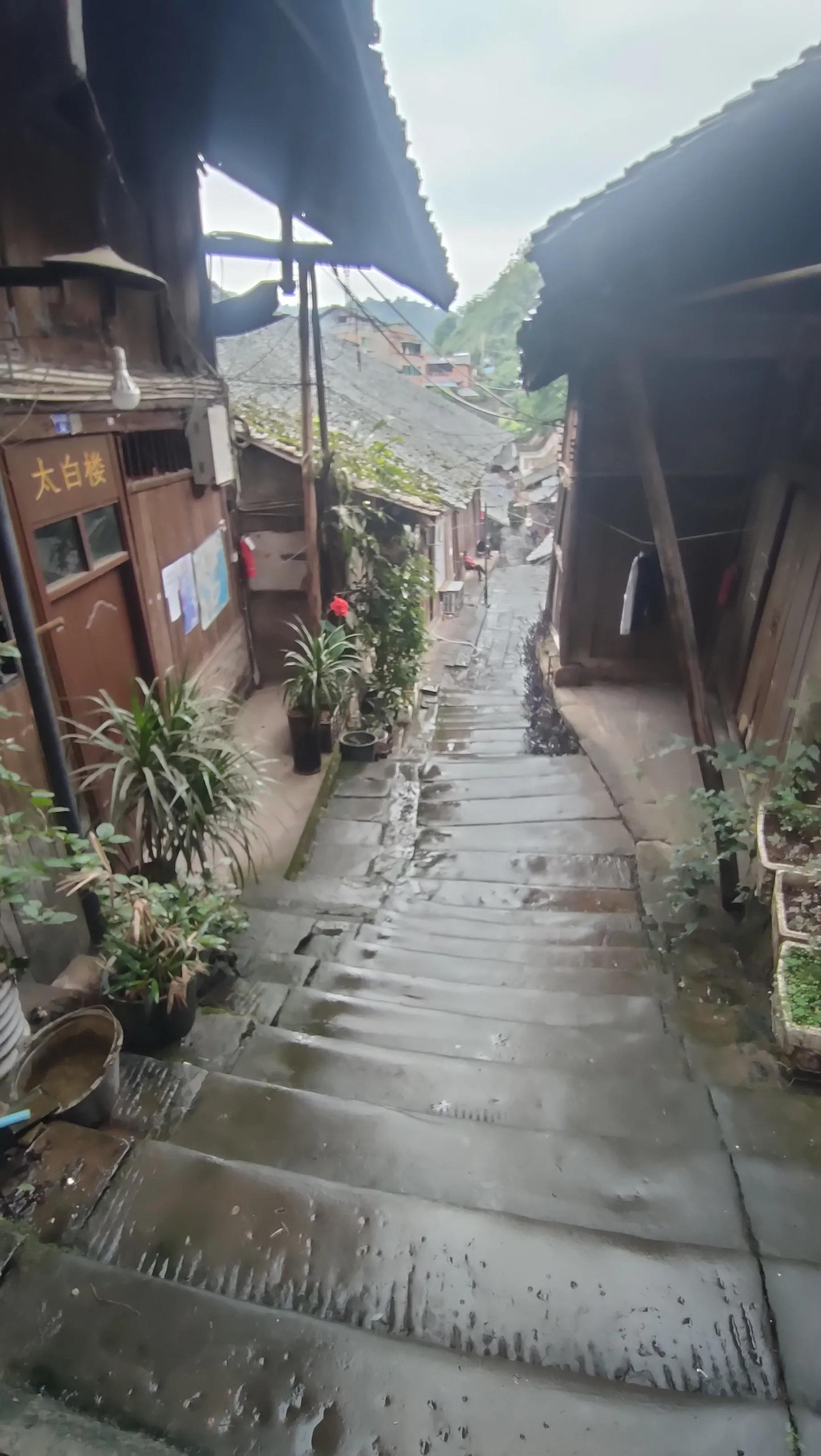 滇黔之行,川渝黔之行