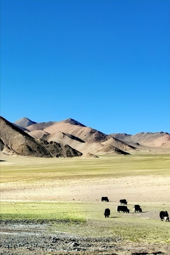此生必去的中国十大景点,此生必去的中国50地方