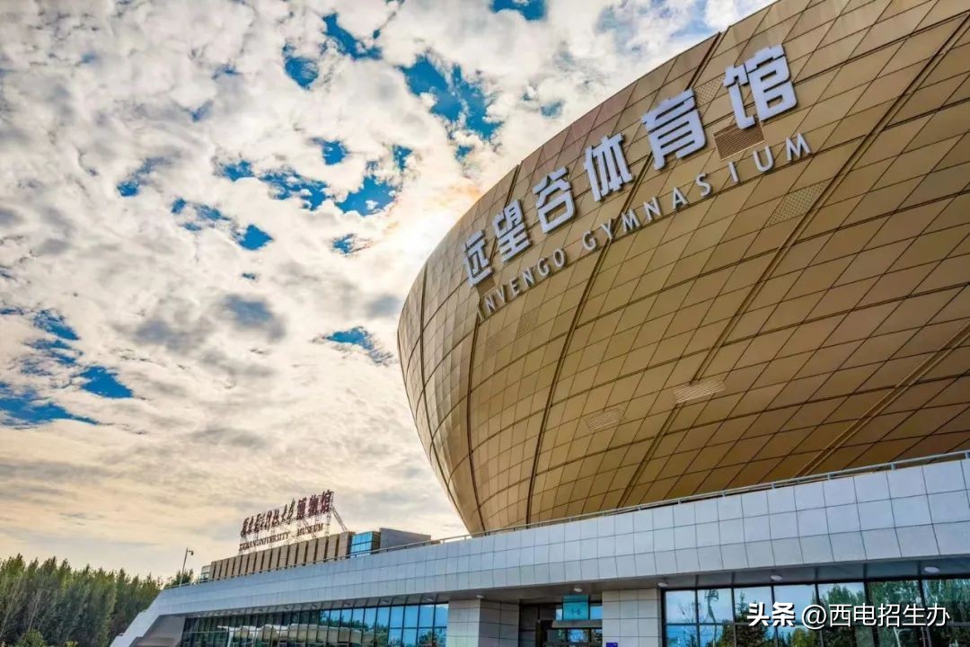 陕西获得金牌的运动员有哪些,陕西全国冠军