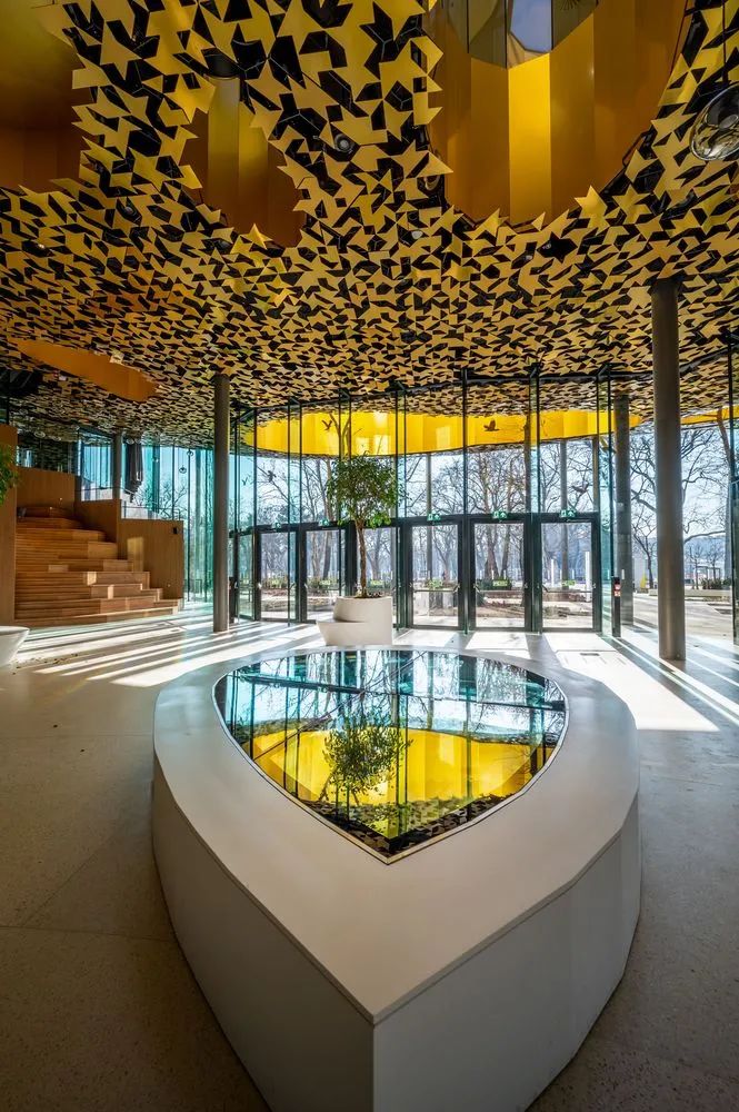 与藤本壮介一起走进金色叶子‘殿堂’，匈牙利音乐之家