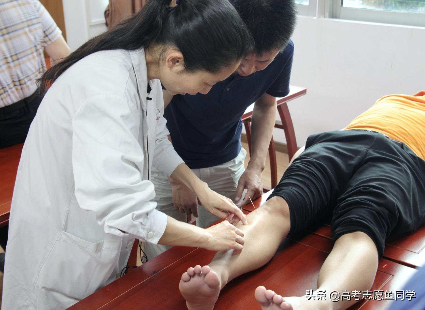 文科生可以学医选哪个专业好就业,文科生学医哪个专业好就业前景