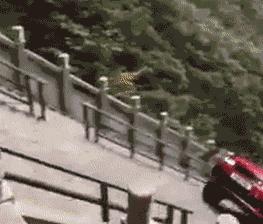 生物老师是女的,生物老师是个女的