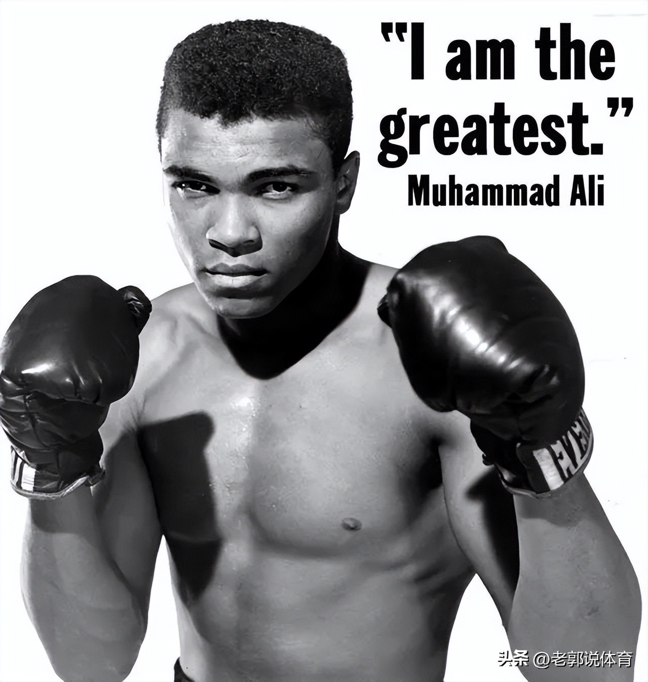 中国体坛十大巨星,体坛十大影响力的人