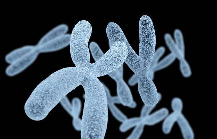 绻佽鑳屽悗,绻佽鍚庝唬瀵归泴鎬х殑鍗卞