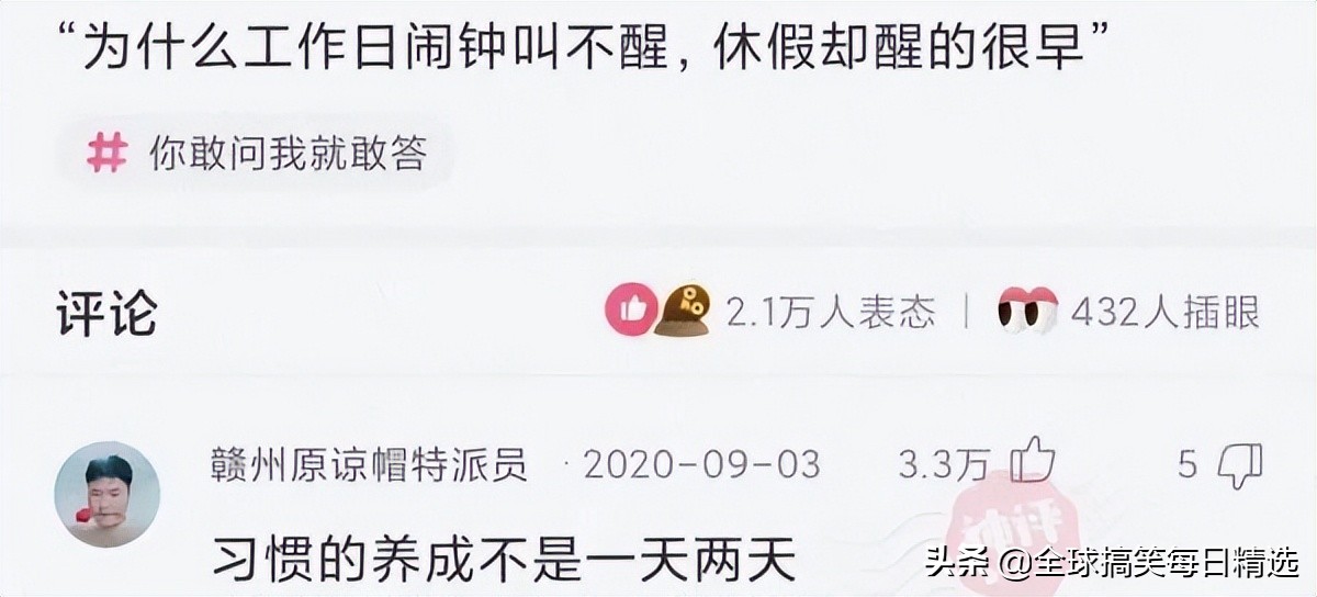 你的岗位还招人吗神回复,问做什么工作怎么神回复