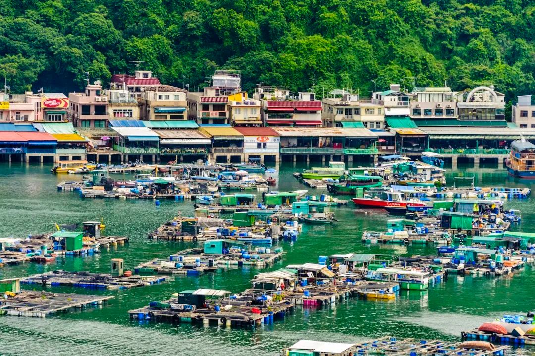 香港自由行攻略必买的东西,香港一日游吃喝玩乐最佳攻略路线