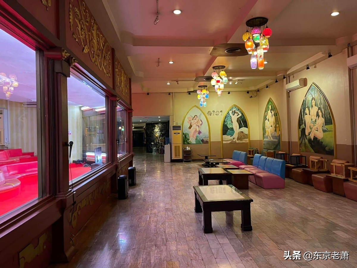 粉红沙龙适合什么地区,粉红沙龙是什么