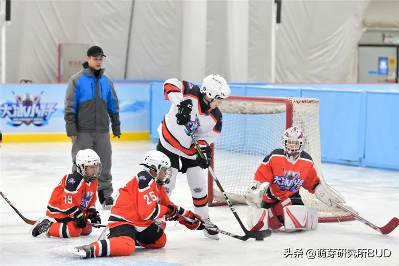 热门儿童兴趣班推荐,兴趣班盘点