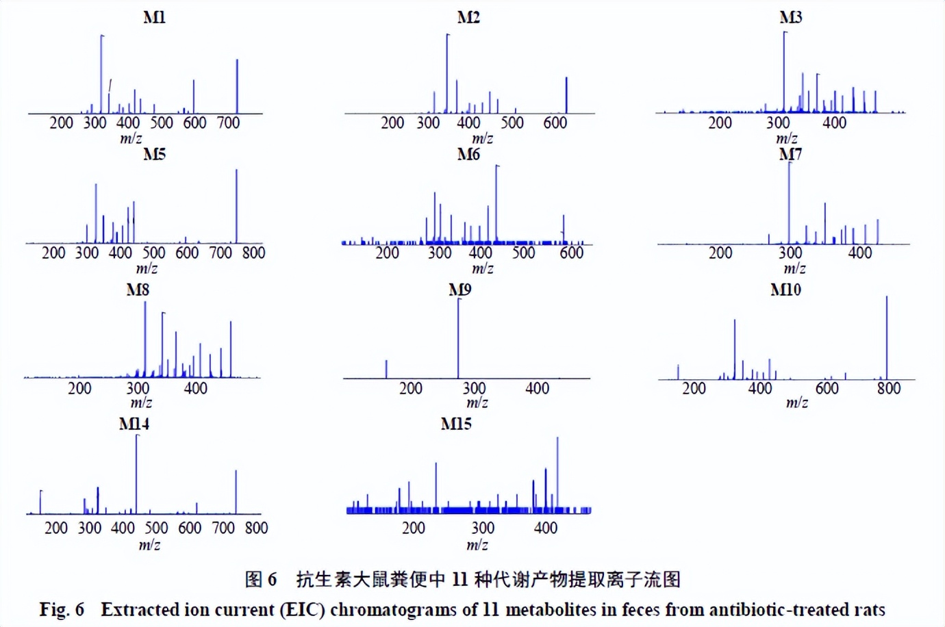 肠道菌群介导的酸枣仁总黄酮体内代谢轮廓研究