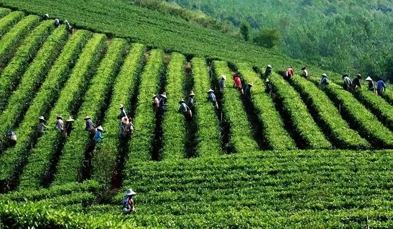 广州清远一日游必去景点,清远宝墩湖附近旅游攻略