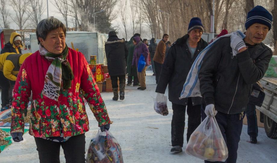 “东北第四省”海南：数以万计的东北人安家背后，藏着什么秘密？
