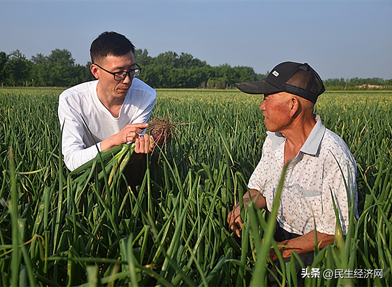 带动农民脱贫致富实现乡村振兴,党旗引领乡村振兴带动农民工就业