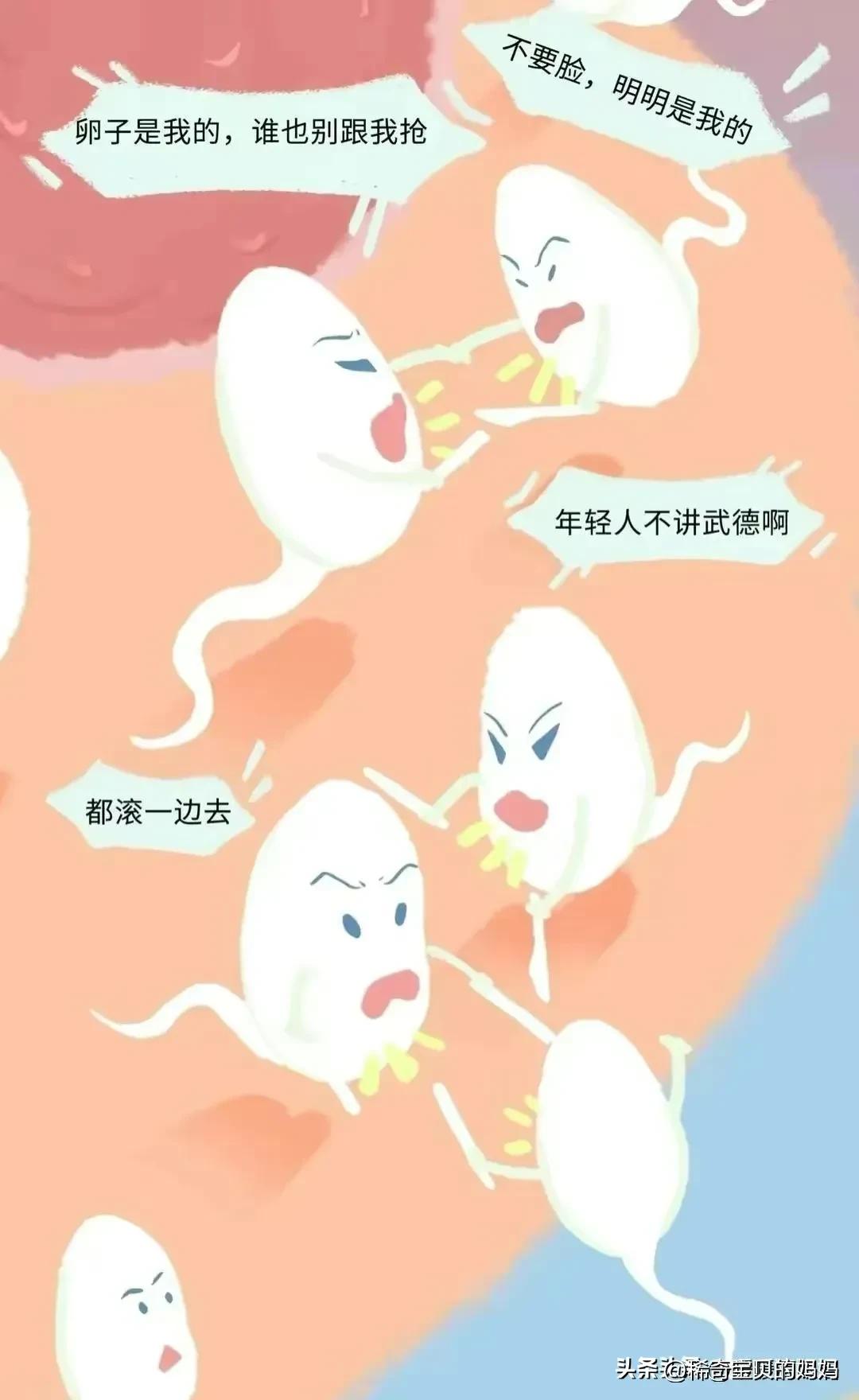 小蝌蚪动画过程讲解,小蝌蚪到青蛙生长过程动漫