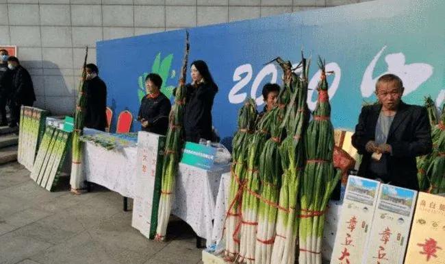 汉字的来源300字,汉字的来源30字左右