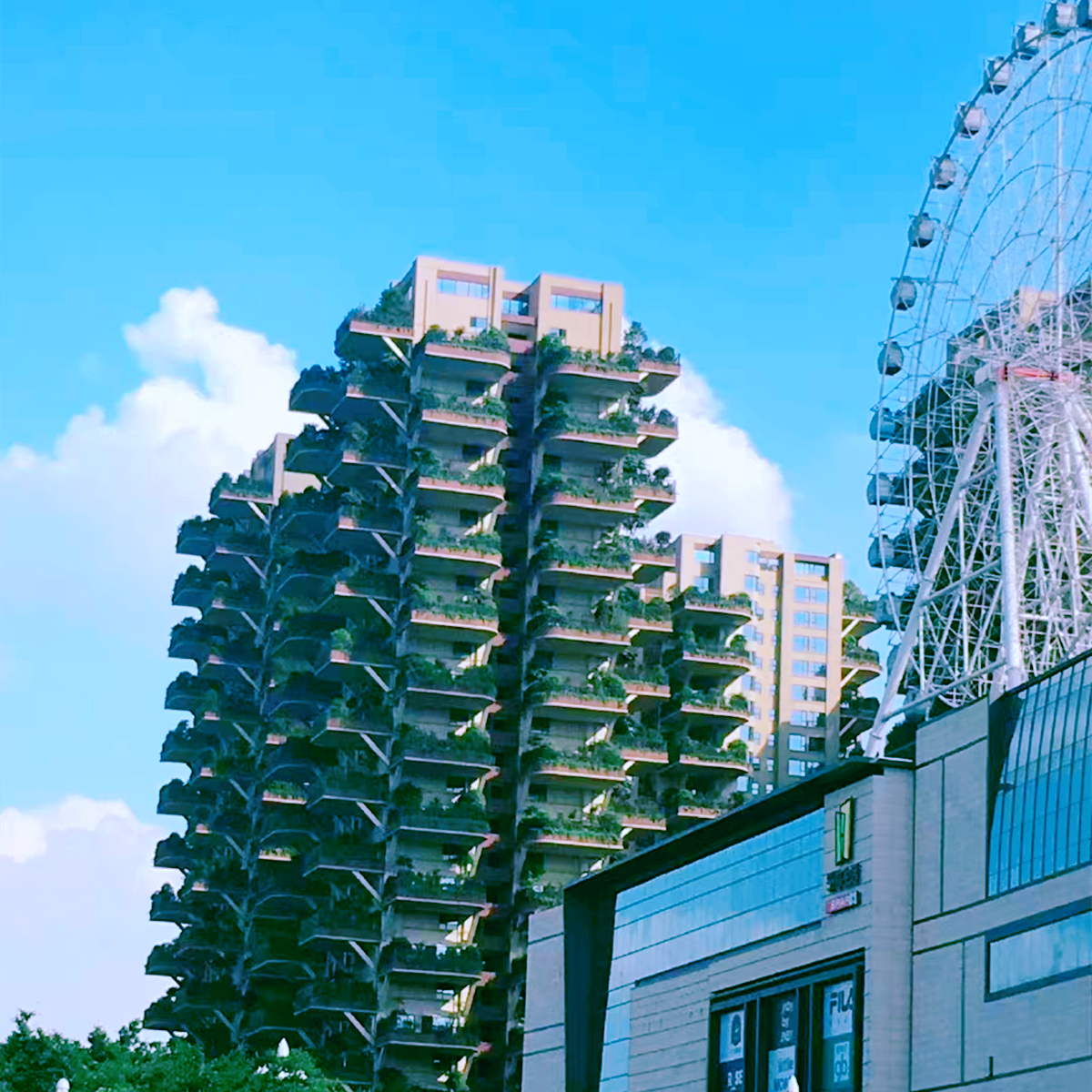 成都第四代住宅空中花园真实现状,成都最好的四代住宅