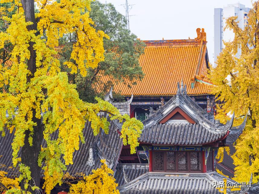 藏不住了！《梦华录》同款宋韵美学，就在温江这些地方→