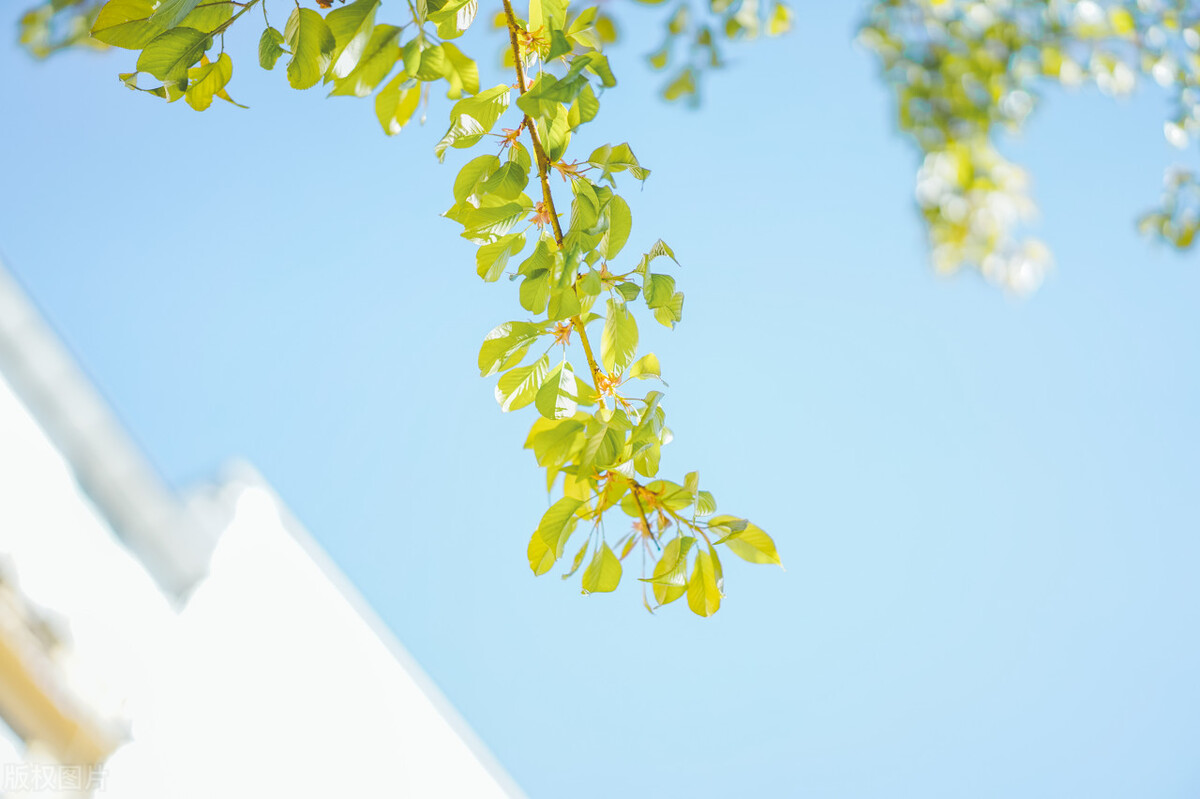 机械企业管理结构,机械行业企业管理方案