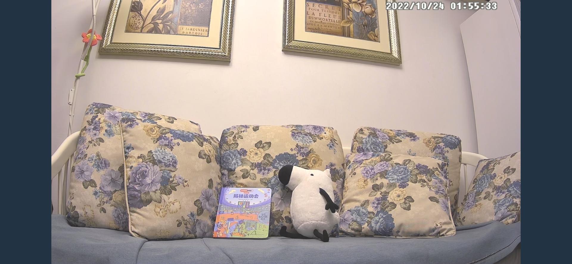 家用摄像头哪款最好用,家用摄像头哪款最实用