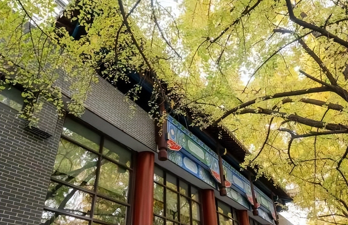 四川大学录取分数线2023一本线,四川大学2023各专业分数线