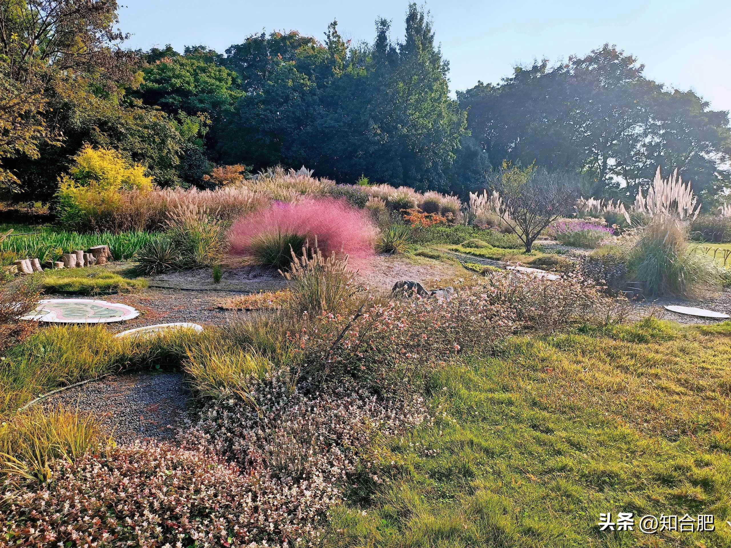 合肥秋游最佳路线,合肥秋游景点推荐