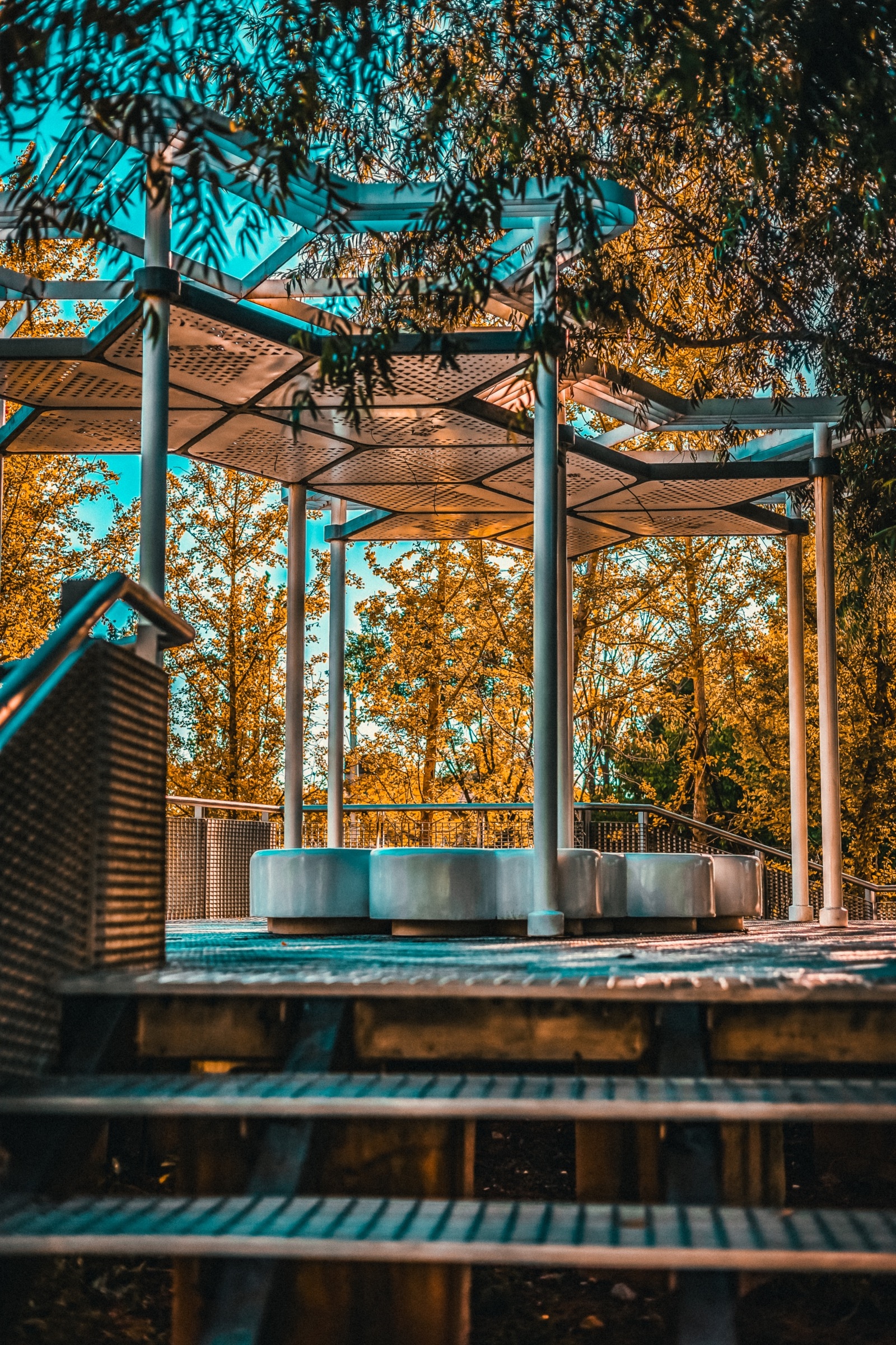 性价比高新手入门数码相机,eosr6是全画幅还是半画幅